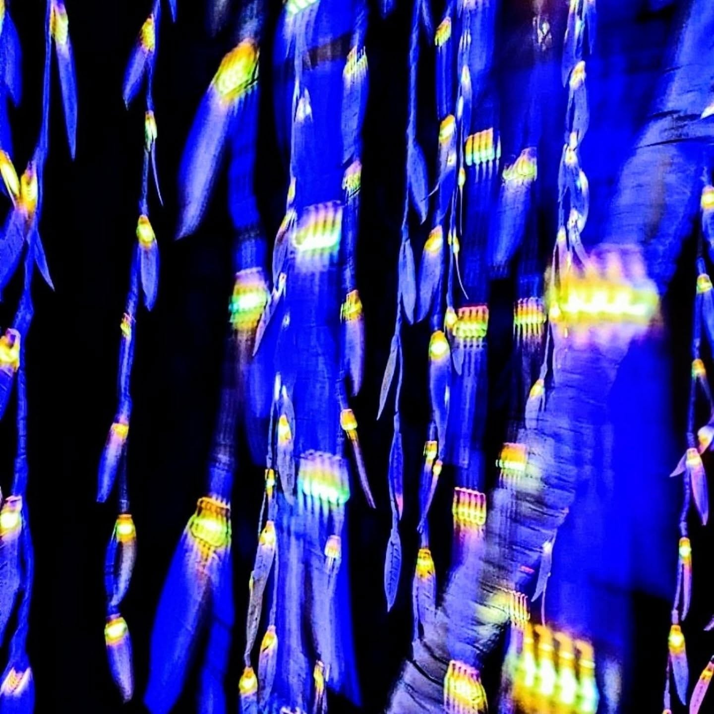 Digital Art Piece - Lights 1