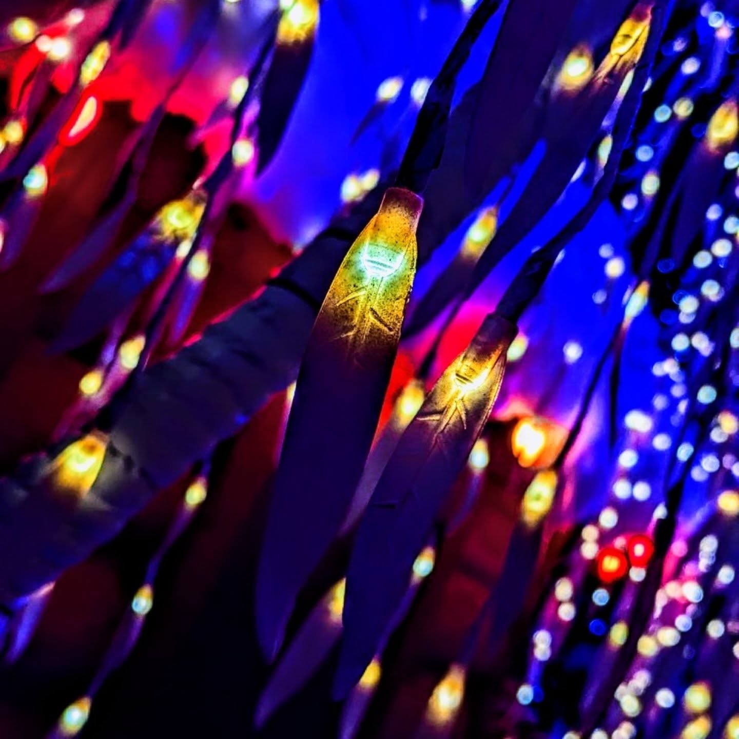 Digital Art Piece - Lights 2